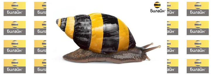 Как отключить смс рассылку Билайн