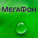Как подключить второй номер на Мегафон