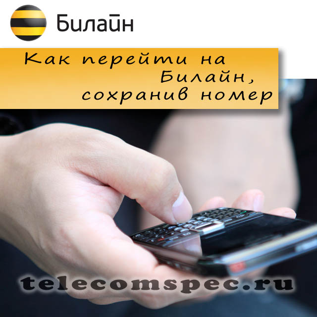 Как перейти на Билайн, сохранив свой номер