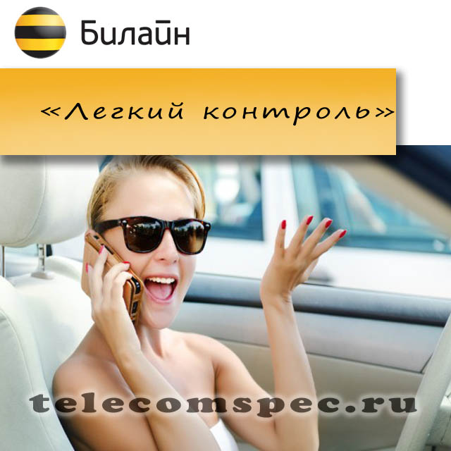 Детализация звонков Билайн: все способы получить услугу Детализация звонков Билайн: все способы получить услугу