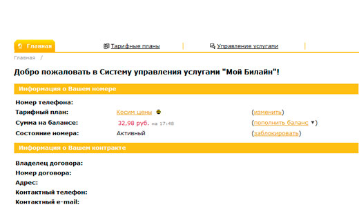 Узнаем свой тарифный план Билайн несколькими способами