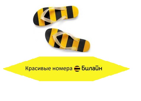 Код оператора Билайн: виды номеров Код оператора Билайн: виды номеров
