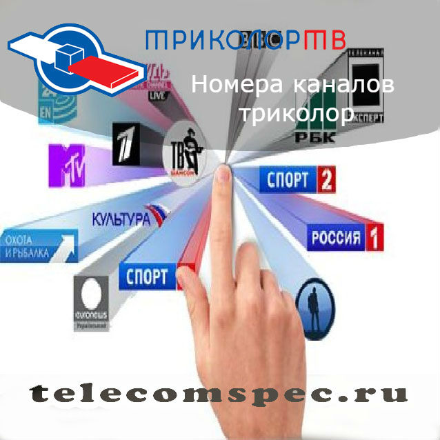 Номера каналов Триколор ТВ: основные особенности