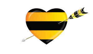 Услуга "Любимый номер" от "Билайн": управление услугой Услуга "Любимый номер" от "Билайн": управление услугой