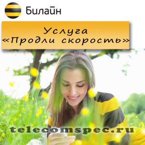 Как воспользоваться услугой "Продли скорость" от Билайн