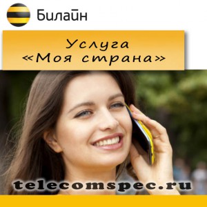 Услуга «Моя страна» от Билайн – как разговаривать и экономить одновременно