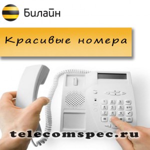 Услуга "Городской номер" от Билайн: описание и стоимость