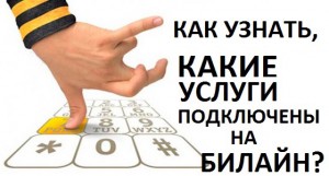 Как можно узнать какие услуги Билайн подключены у тебя Как можно узнать какие услуги Билайн подключены у тебя