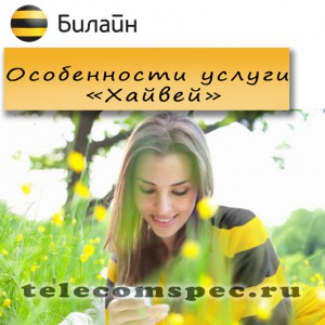 Хайвей от Билайн: как подключить и отключить услугу Хайвей от Билайн: как подключить и отключить услугу