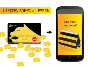 Обзор платежных карт Билайн — особенности, преимущества и недостатки