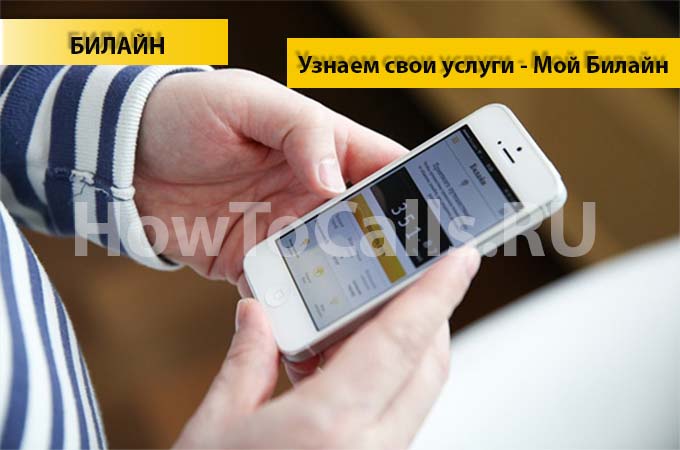 Как узнать какие услуги подключены на билайне и отключить их? Как узнать какие услуги подключены на билайне и отключить их?