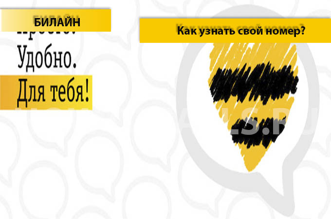 Узнаем свой номер на Билайне - 4 способа узнать номер Узнаем свой номер на Билайне - 4 способа узнать номер