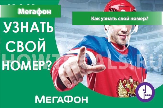 Узнаем свой номер на Мегафоне - 4 способа