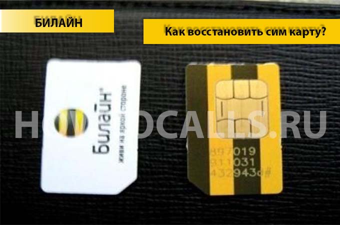 Как восстановить сим карту Билайн - 4 способа восстановить сим-карту