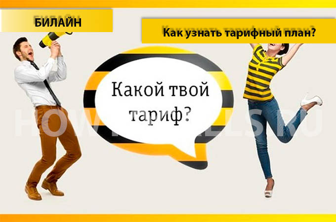 Как узнать свой тарифный план на Билайне - 3 способа