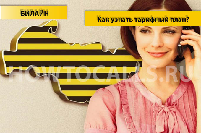 Как узнать свой тарифный план на Билайне - 3 способа Как узнать свой тарифный план на Билайне - 3 способа