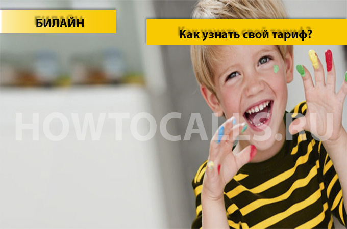 Как узнать свой тарифный план на Билайне - 4 способа