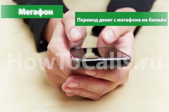 Как перевести деньги с Мегафона на Билайн - инструкция по переводу