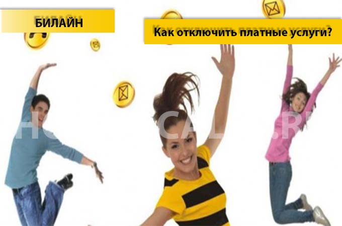 Как отключить платные услуги на Билайне - инструкция по отключению платных услуг на Билайне Как отключить платные услуги на Билайне - инструкция по отключению платных услуг на Билайне