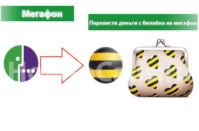 Как перевести деньги с билайна на мегафон - инструкция