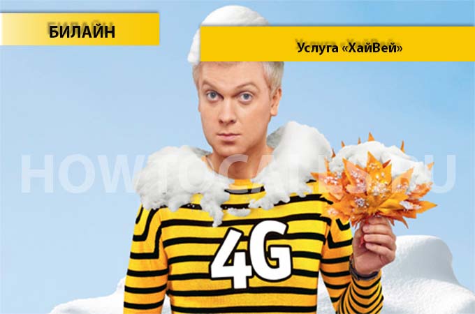 Услуга «Хайвей» от Билайн - описание и как подключить Хайвей На Билайне Услуга «Хайвей» от Билайн - описание и как подключить Хайвей На Билайне