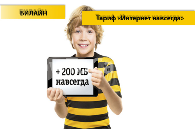 Тариф «Интернет навсегда» - описание, подключение и отключение тарифа «Интернет навсегда» от Билайн