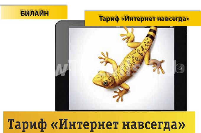 Тариф «Интернет навсегда» - описание, подключение и отключение тарифа «Интернет навсегда» от Билайн Тариф «Интернет навсегда» - описание, подключение и отключение тарифа «Интернет навсегда» от Билайн