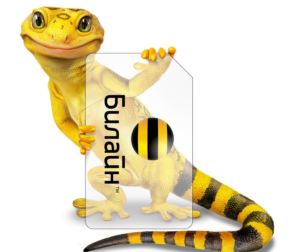 Что лучше мегафон или билайн: описание плюсов и минусов