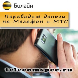 Как перевести деньги с Билайна на МТС