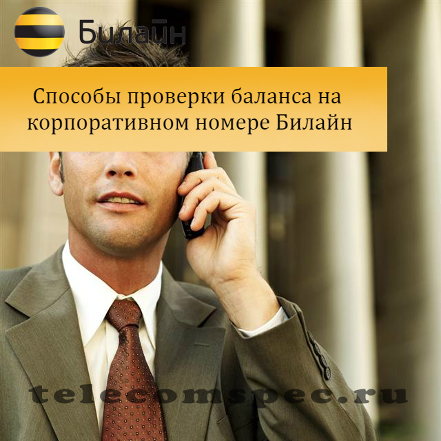 Как проверить баланс на корпоративном номере Билайн: описание