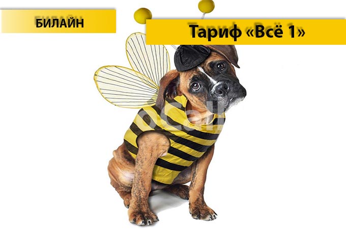 Тариф «Всё 1» от Билайн - описание тарифа, как подключить и как отключить тариф Всё 1 от Билайн Тариф «Всё 1» от Билайн - описание тарифа, как подключить и как отключить тариф Всё 1 от Билайн