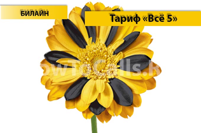 Тариф «Всё 5» от Билайн - описание тарифа, как подключить и как отключить тариф Всё 5 от Билайн Тариф «Всё 5» от Билайн - описание тарифа, как подключить и как отключить тариф Всё 5 от Билайн