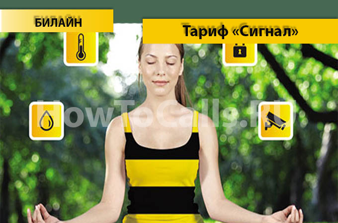 Тариф «Сигнал» от Билайн - описание тарифа, как подключить и как отключить тариф Сигнал от Билайна