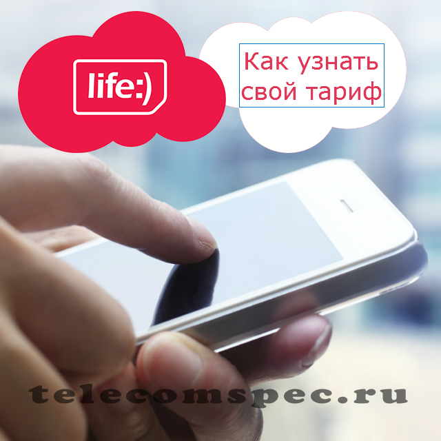 Как узнать свой тарифный план на Life: проверка своего тарифа