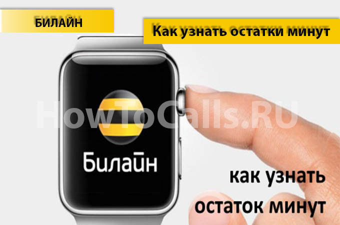 Как узнать остаток минут на Билайне - 5 способов проверить остаток минут на Билайне