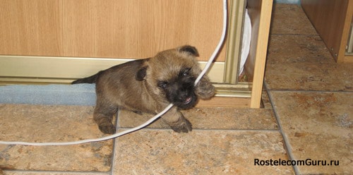 Причины нестабильной работы интернета Ростелеком и их устранение Причины нестабильной работы интернета Ростелеком и их устранение