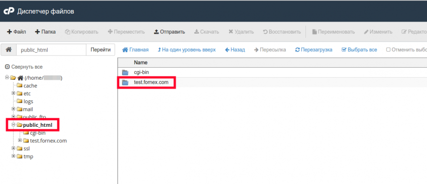 Начало работы с Виртуальным хостингом и cPanel | FORNEX